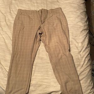 Express Dress pants